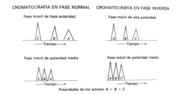 Fases de la Cromatografía Líquida